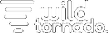 WildTornado Casino Logo